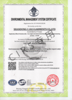 环境管理体系认证证书-英文53048032.png